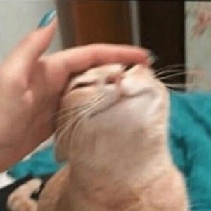 Meet your Posher, Naomi